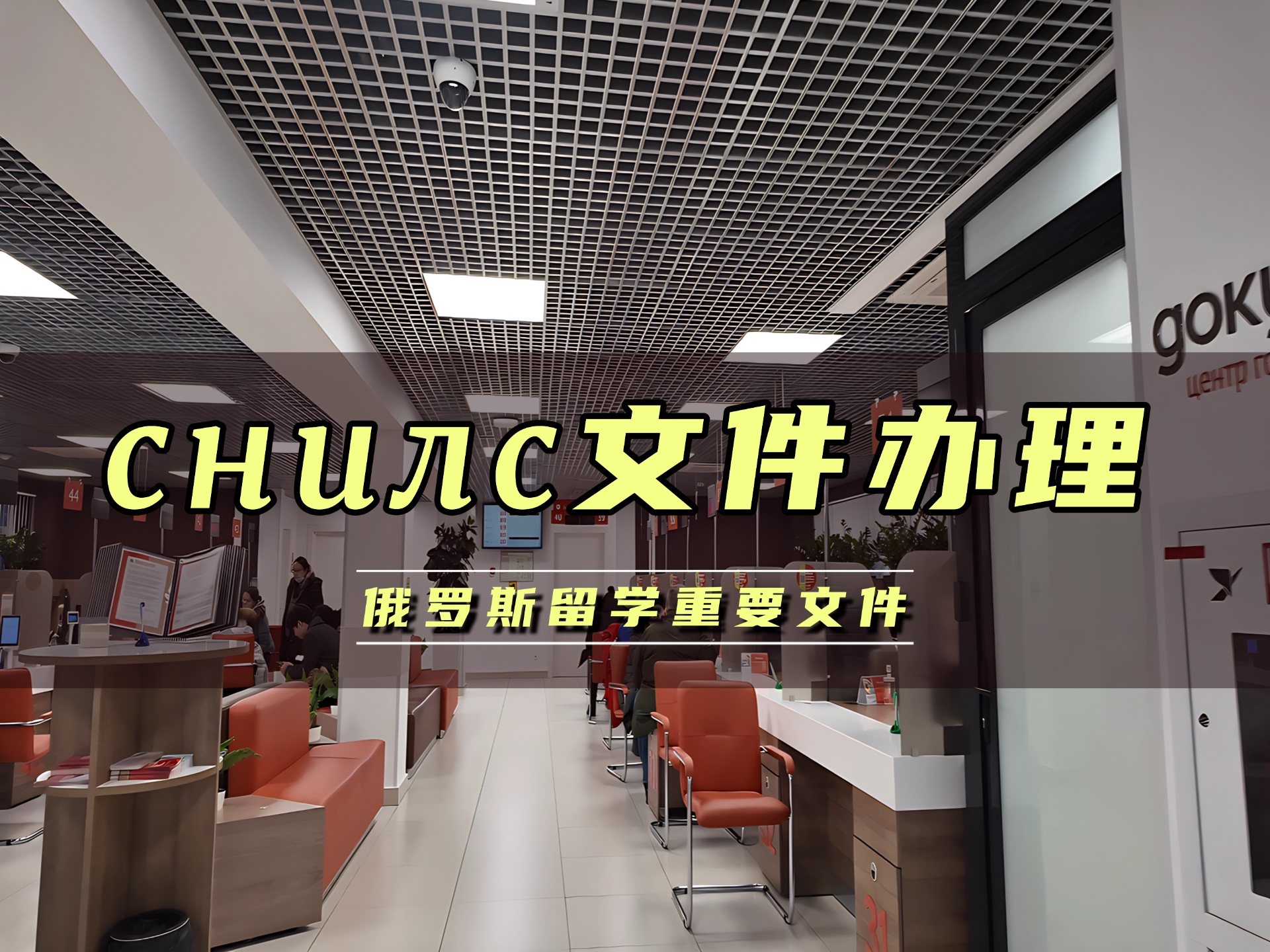 俄罗斯留学重要文件Снилс办理